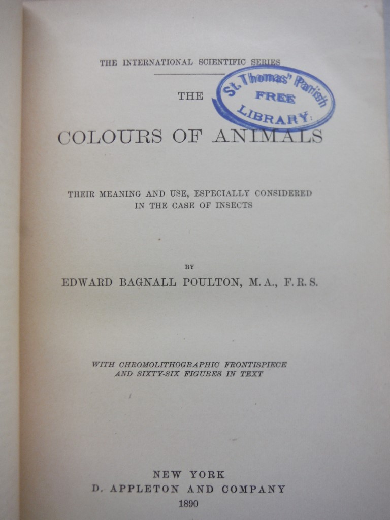 Image 3 of The Colours of Animals