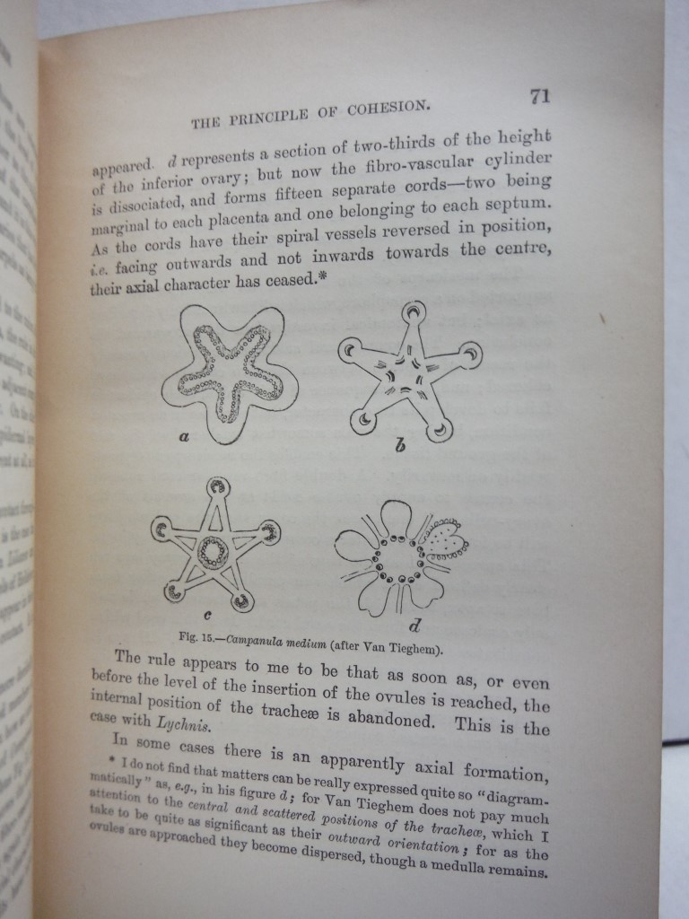 Image 3 of The Origin of Floral Structures