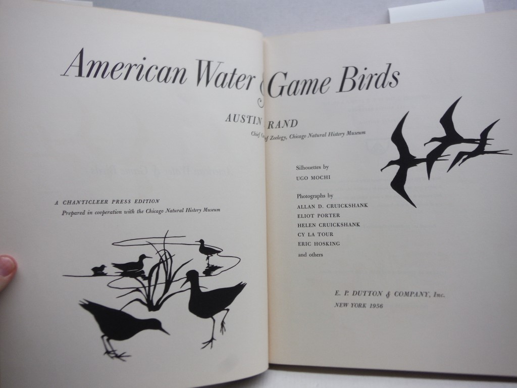 Image 1 of Rare AMERICAN WATER AND GAME BIRDS - E. P. Dutton and Co., New York
