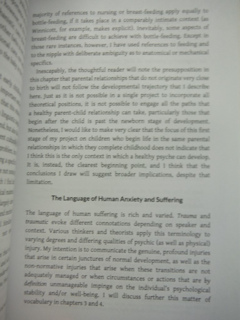 Image 2 of Horror and Its Aftermath: Reconsidering Theology and Human Experience (Emerging 