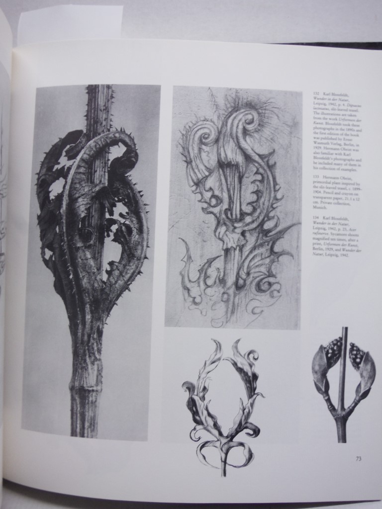 Image 2 of Jugendstil Art Nouveau (English and German Edition)
