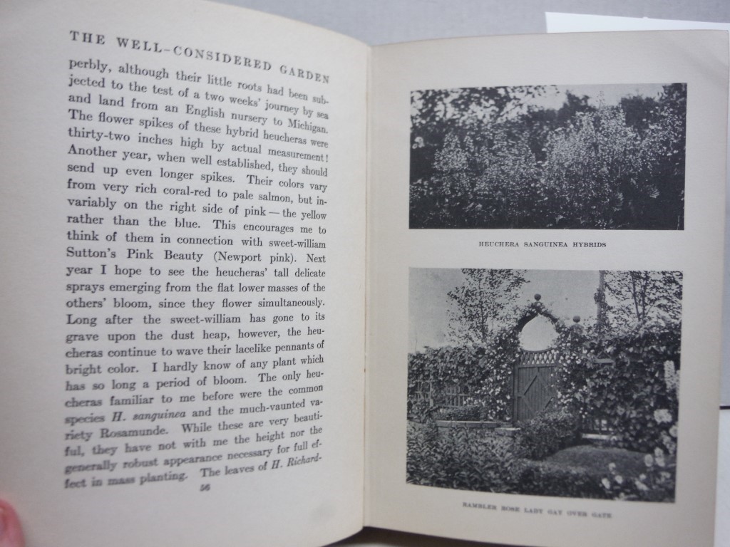 Image 2 of The well-considered garden