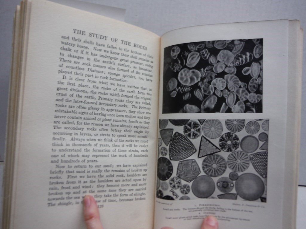 Image 2 of The Romance of the Microscope