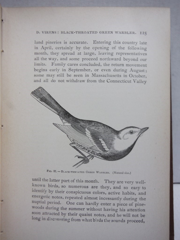 Image 2 of New England Bird Life Being a Manual of New England Ornithology. Part I. - Oscin