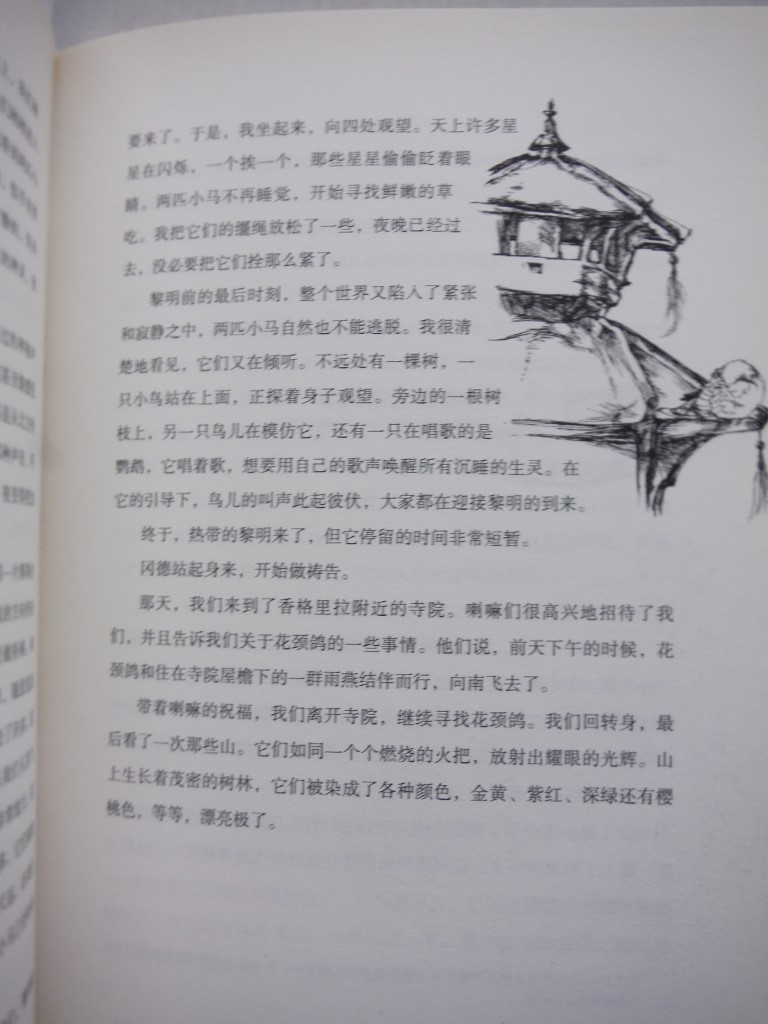 Image 3 of Gay Neck: The Story of a Pigeon (Chinese Edition)