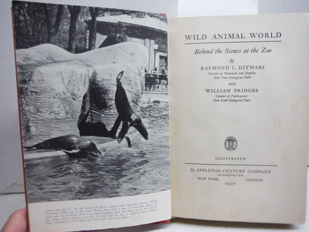 Image 2 of Wild animal world;: Behind the scenes at the Zoo,