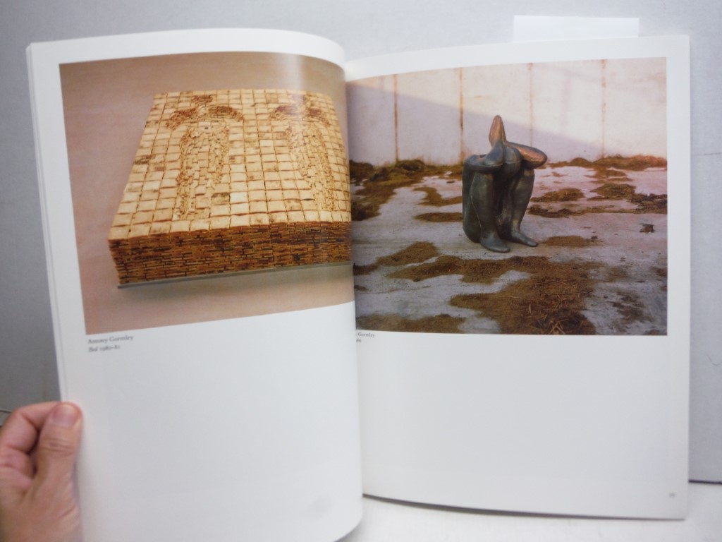 Image 2 of Starlit waters: British sculpture : an international art, 1968-1988