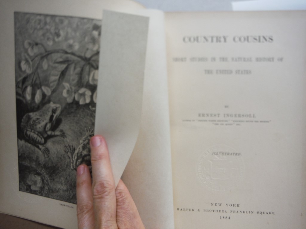 Image 1 of Country Cousins: Short Studies in the Natural History of the United States