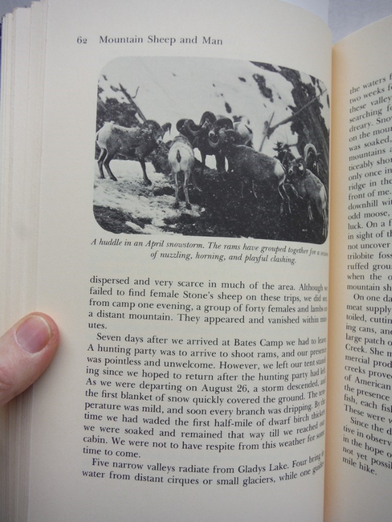 Image 2 of Mountain Sheep and Man in the Northern Wilds by Geist, Valerius (1975) Hardcover
