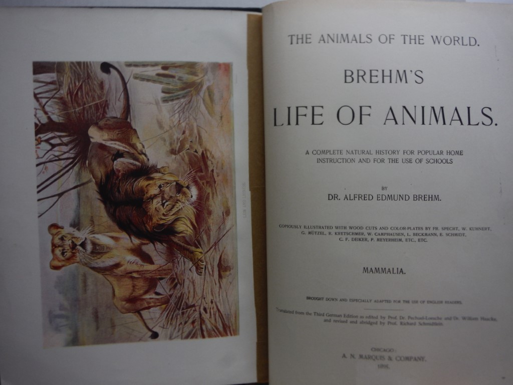 Image 1 of Brehm's Life of Animals : A Complete Natural History Mammalia