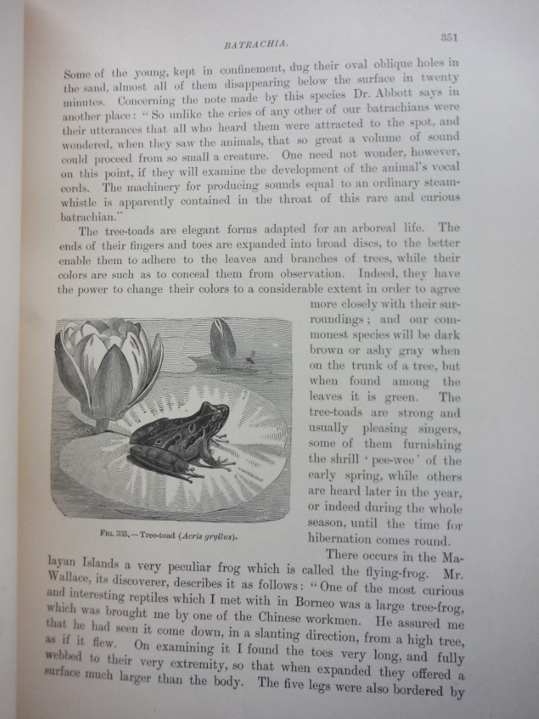 Image 4 of Nature'S Wonderland, Vol. 2 - 1894 Niglutsch