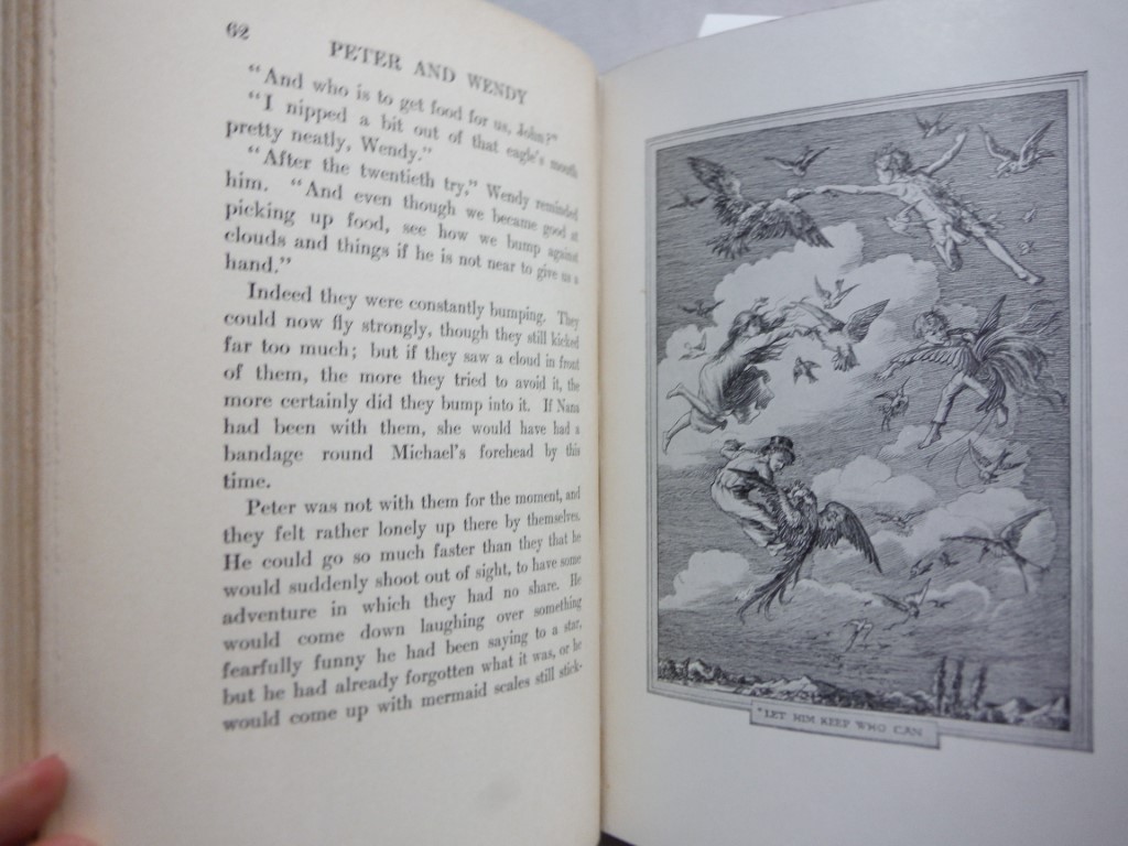 Image 4 of Peter and Wendy (1911) -  Charles Scribner's Sons - F.D. Bedford illustrations