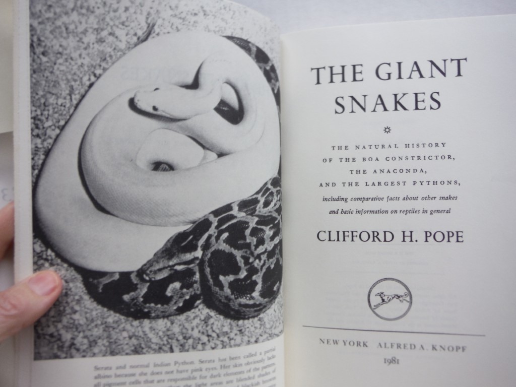 Image 1 of The Giant Snakes