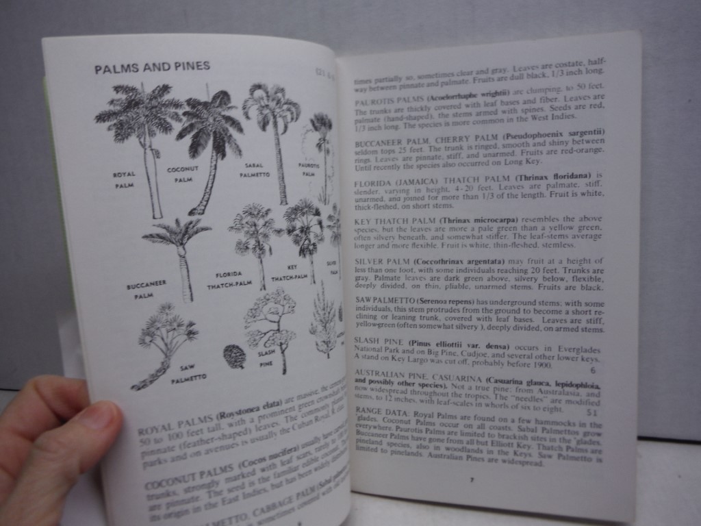 Image 1 of Trees of the Everglades National Park and the Florida Keys. 1981 (An Illustrated