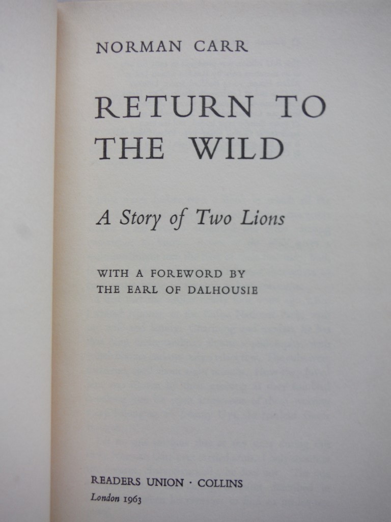 Image 1 of Return to the wild: a story of two lions