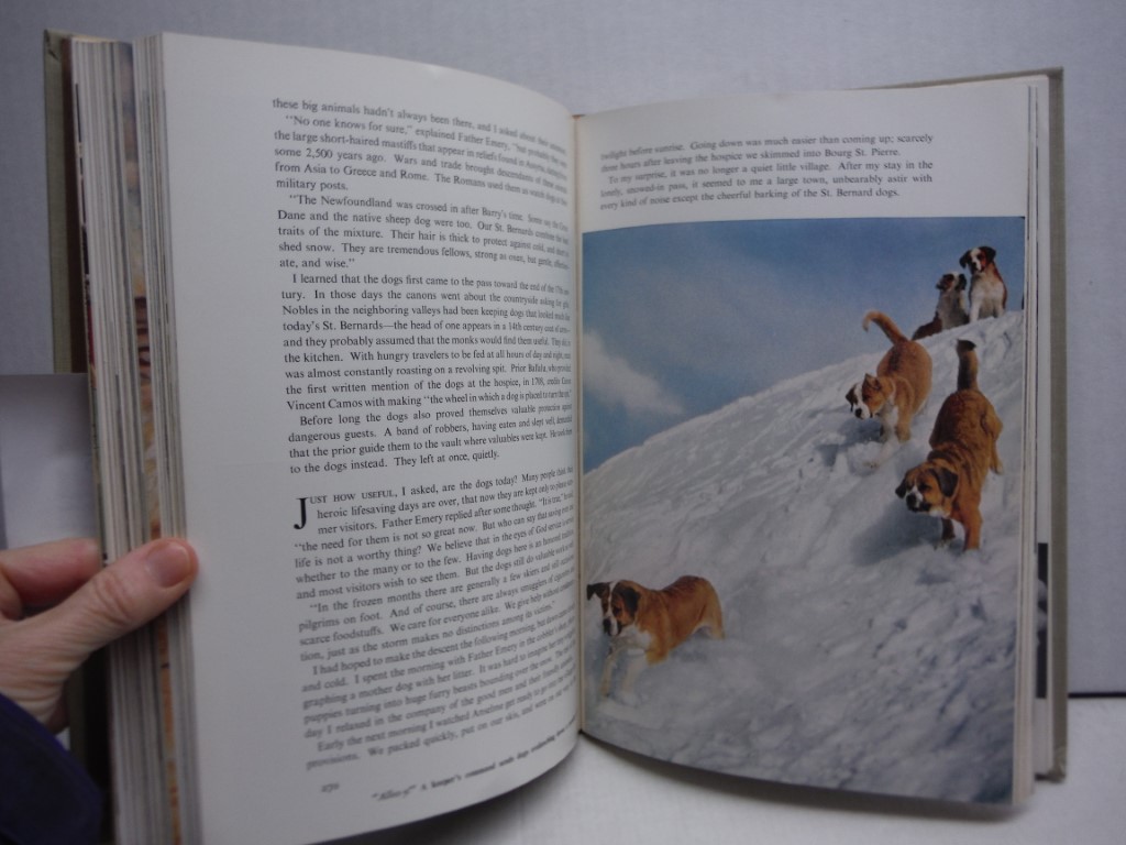 Image 2 of Man's Best Friend: The National Geographic Book of Dogs