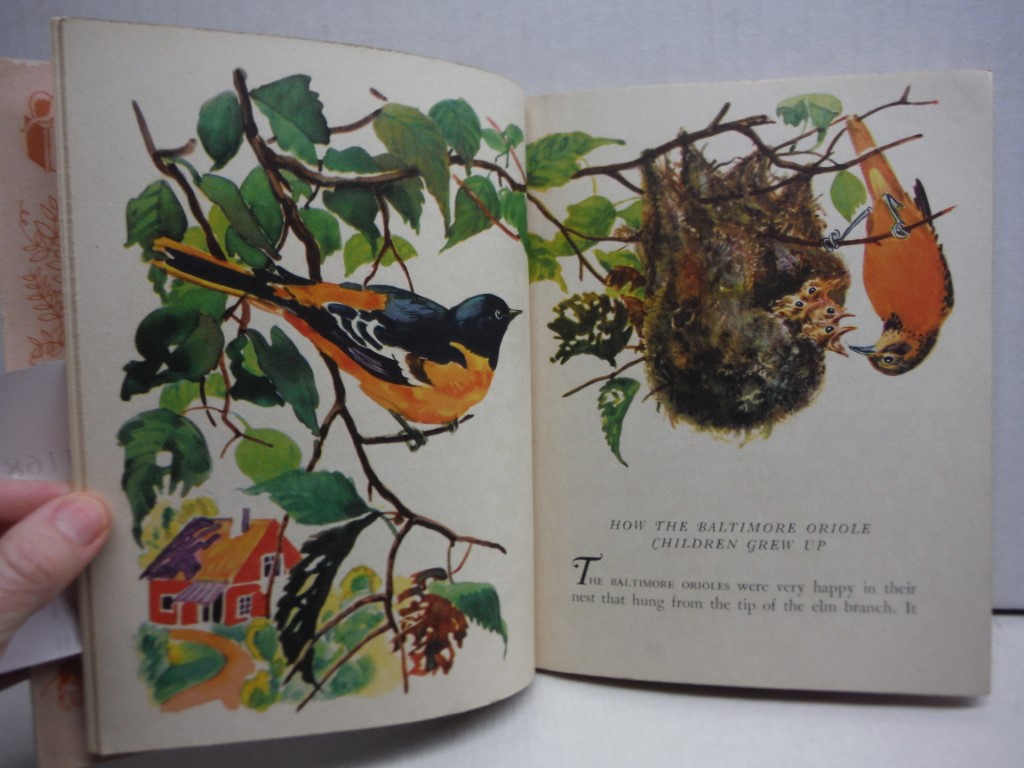 Image 2 of The Golden Book of Birds (Little Golden Book #13)
