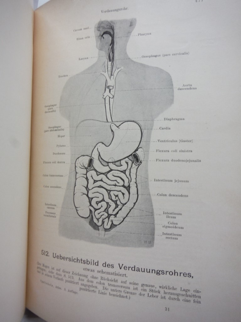 Image 2 of Handatlas der Anatomie des Menschen. Dritter Band.
