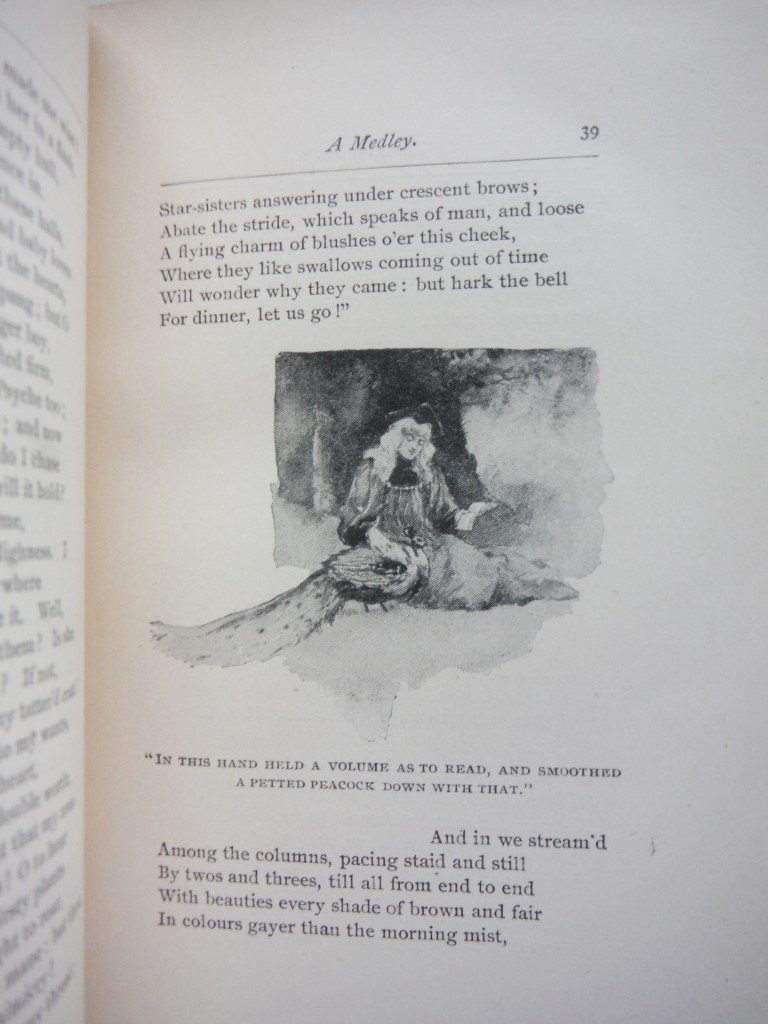 Image 3 of The Princess and Other Poems