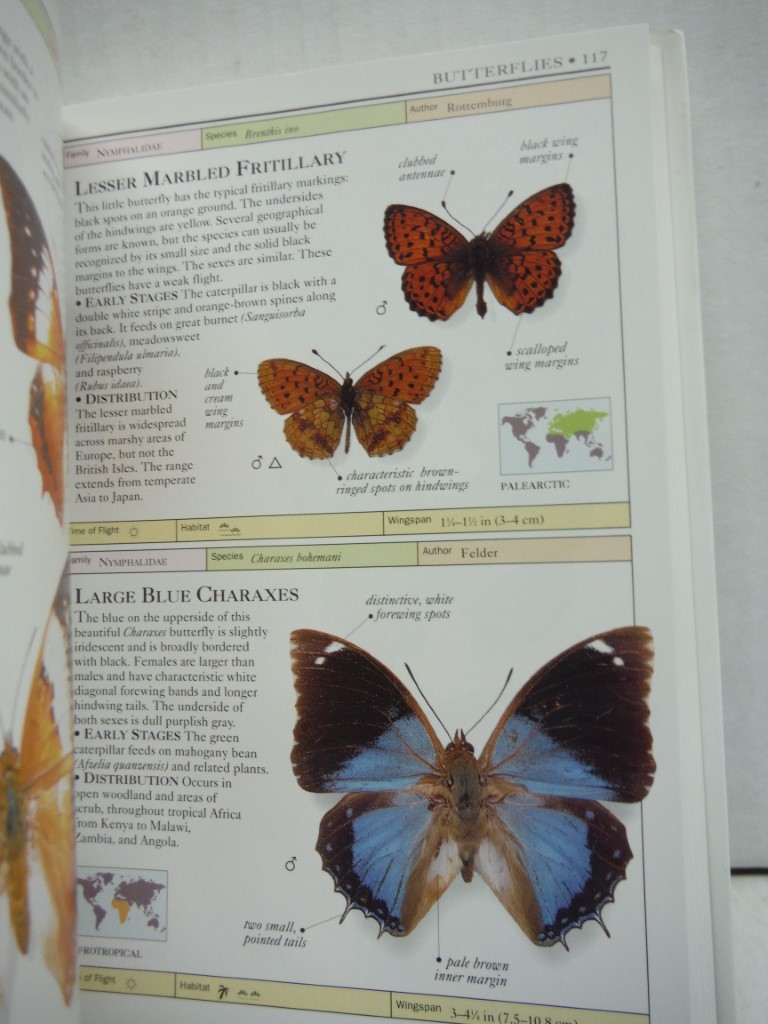 Image 2 of Butterflies and Moths (Eyewitness Handbooks)