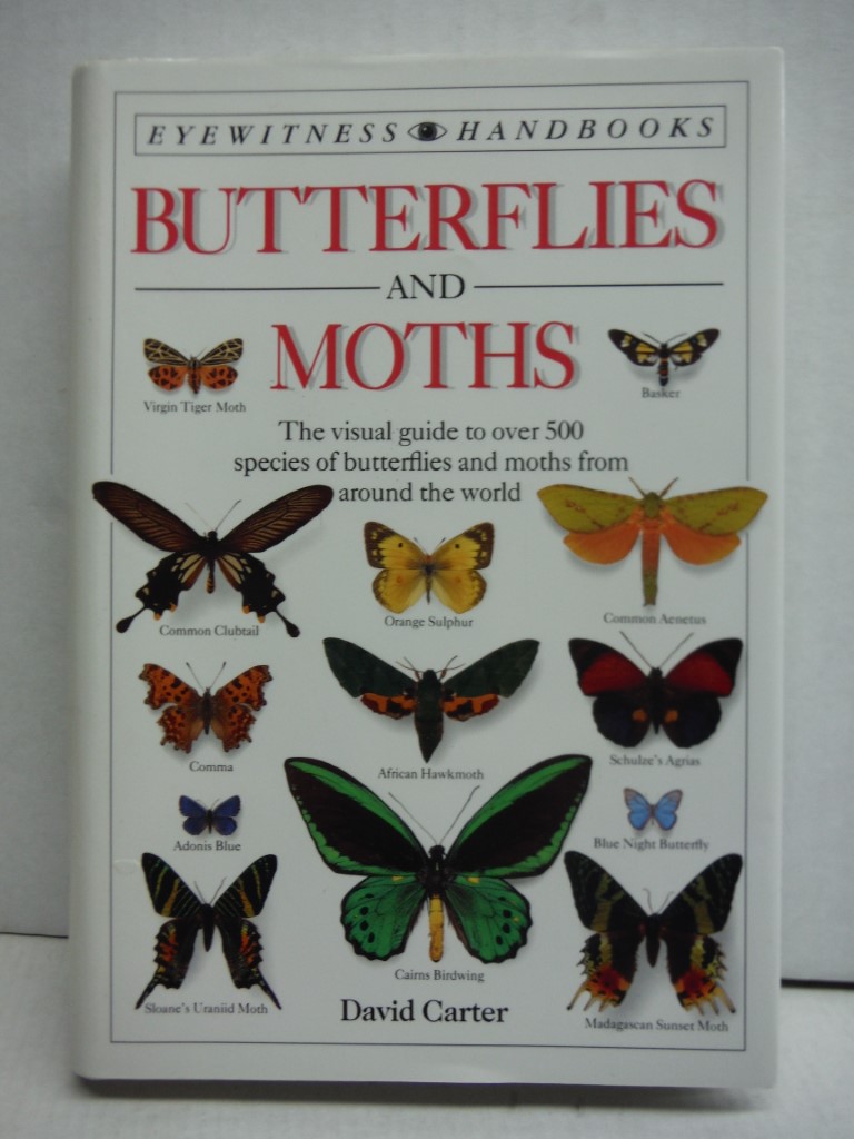 Butterflies and Moths (Eyewitness Handbooks)