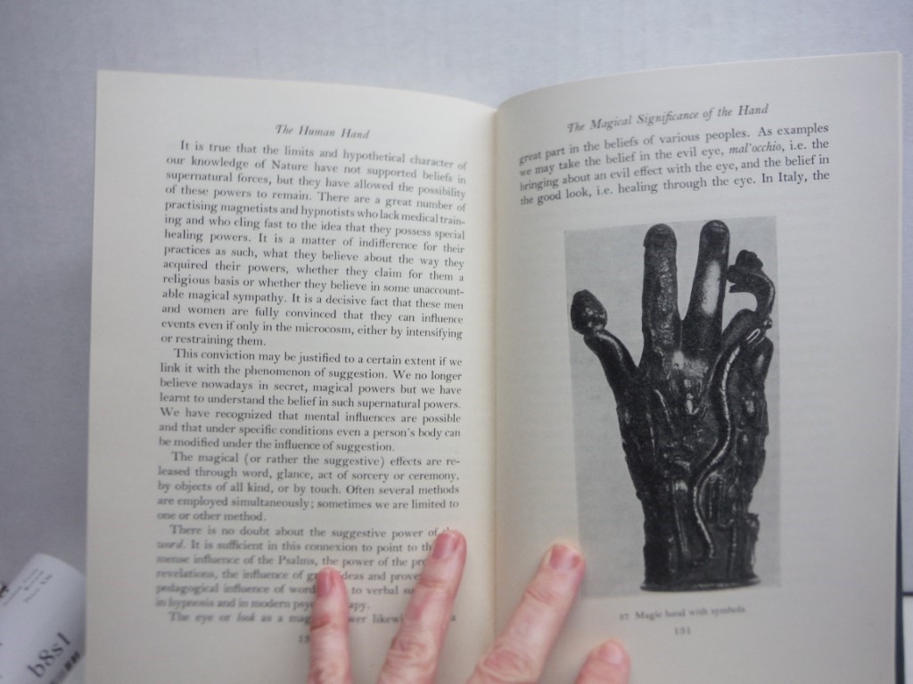 Image 4 of The Human Hand