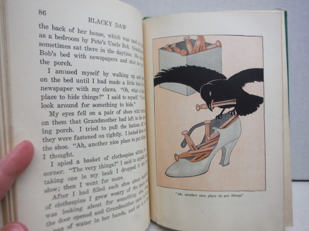 Image 4 of Blacky Daw, the Story of a Pet Crow,