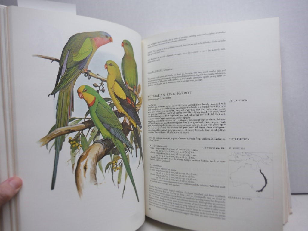 Image 4 of Parrots of the World