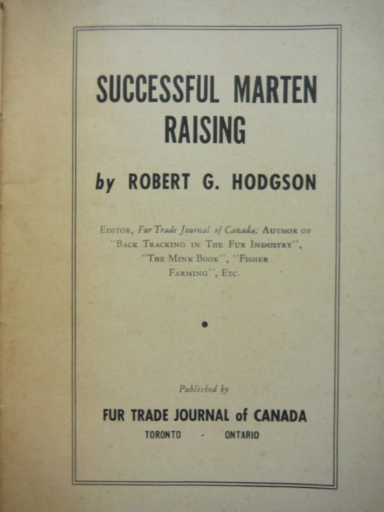 Image 1 of Successful Marten Raising