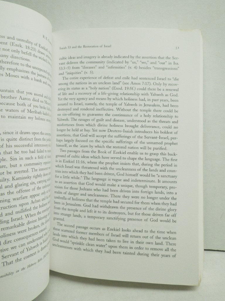 Image 3 of Jesus and the Suffering Servant: Isaiah 53 and Christian Origins
