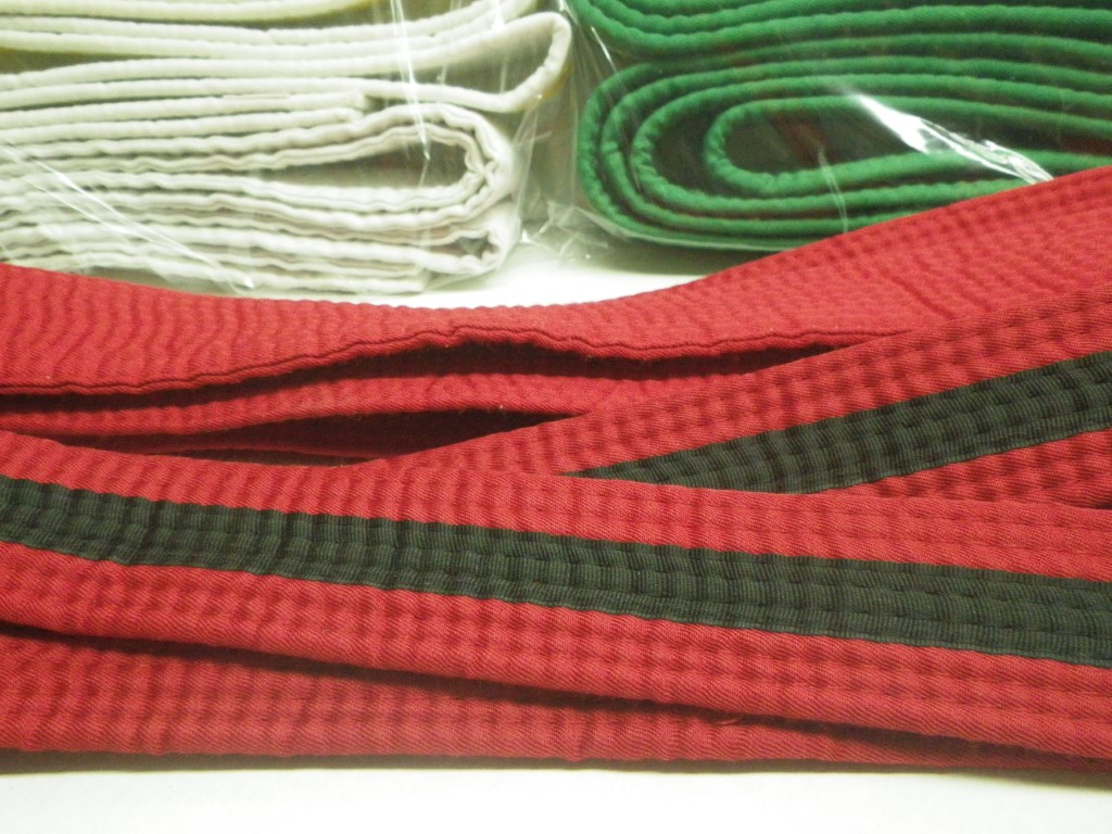 Image 2 of Lot of 10 Tae Kwon Do Belts