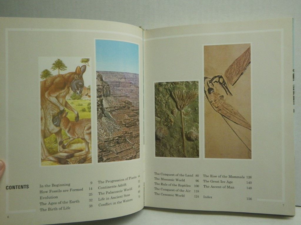 Image 4 of The Prehistoric World