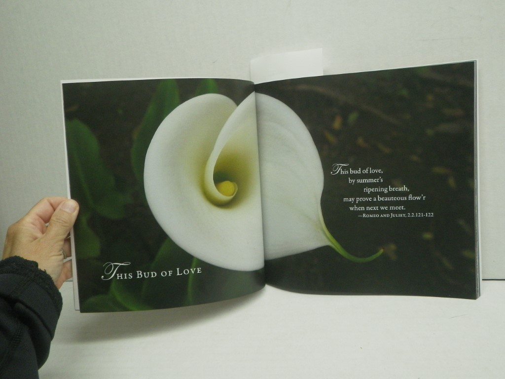 Image 2 of Love by William Shakespeare