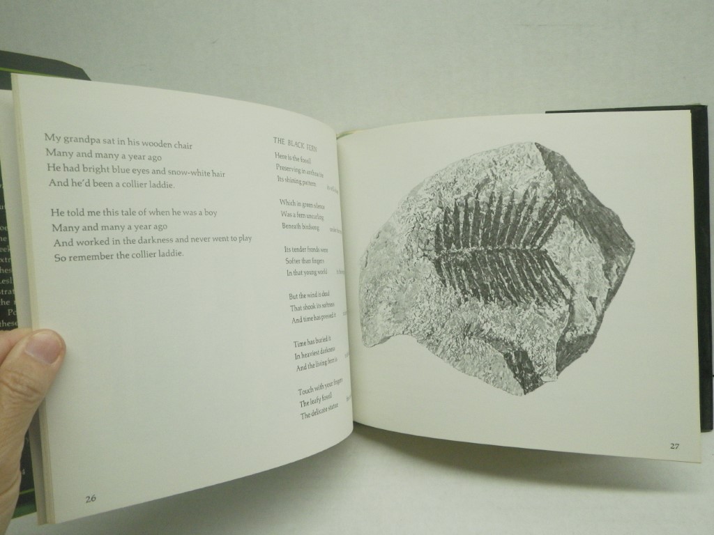 Image 3 of Merlin & the Snake's Egg