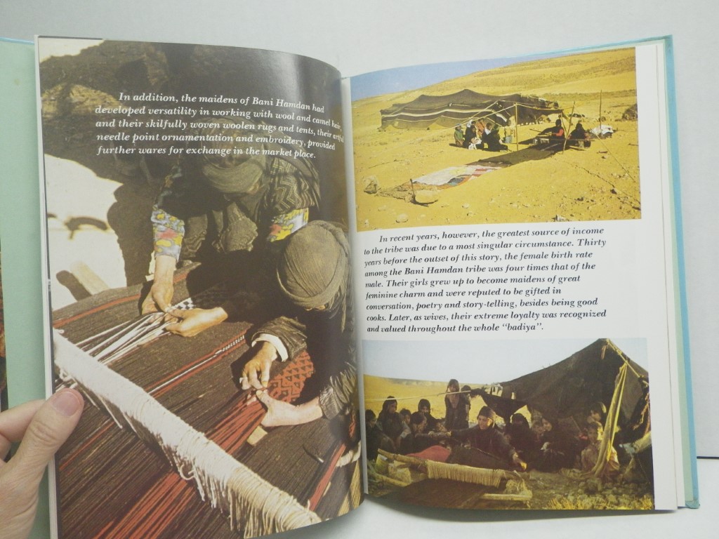 Image 2 of Love & Superstition:  Arabian Story Masterpieces 3