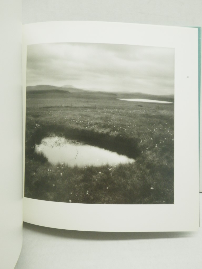 Image 2 of The Water's Edge