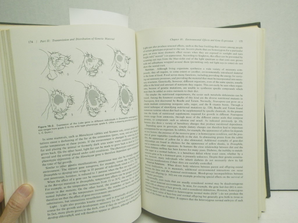Image 4 of Genetics
