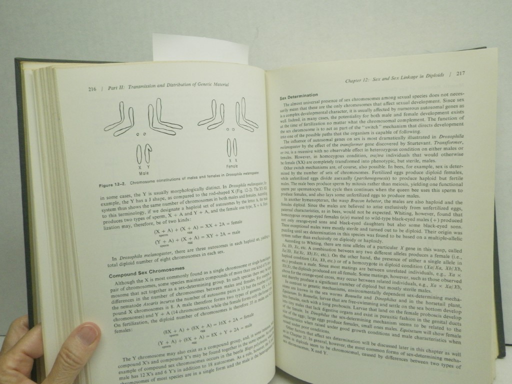 Image 5 of Genetics