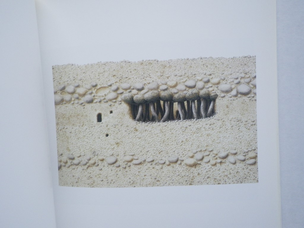 Image 3 of Earth Door Sky Door: Paintings of Mustang
