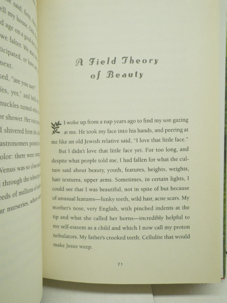 Image 5 of Lot of 6 VG HC novels by Anne Lamott:  