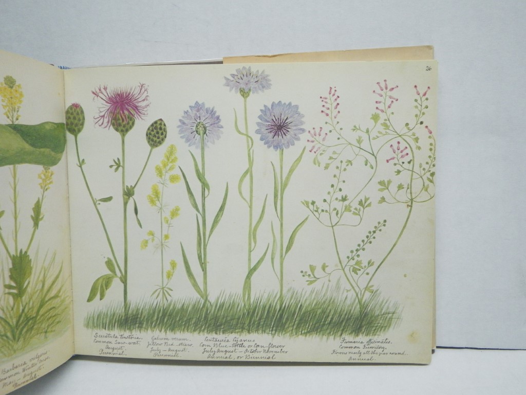 Image 2 of A Victorian Flower Album