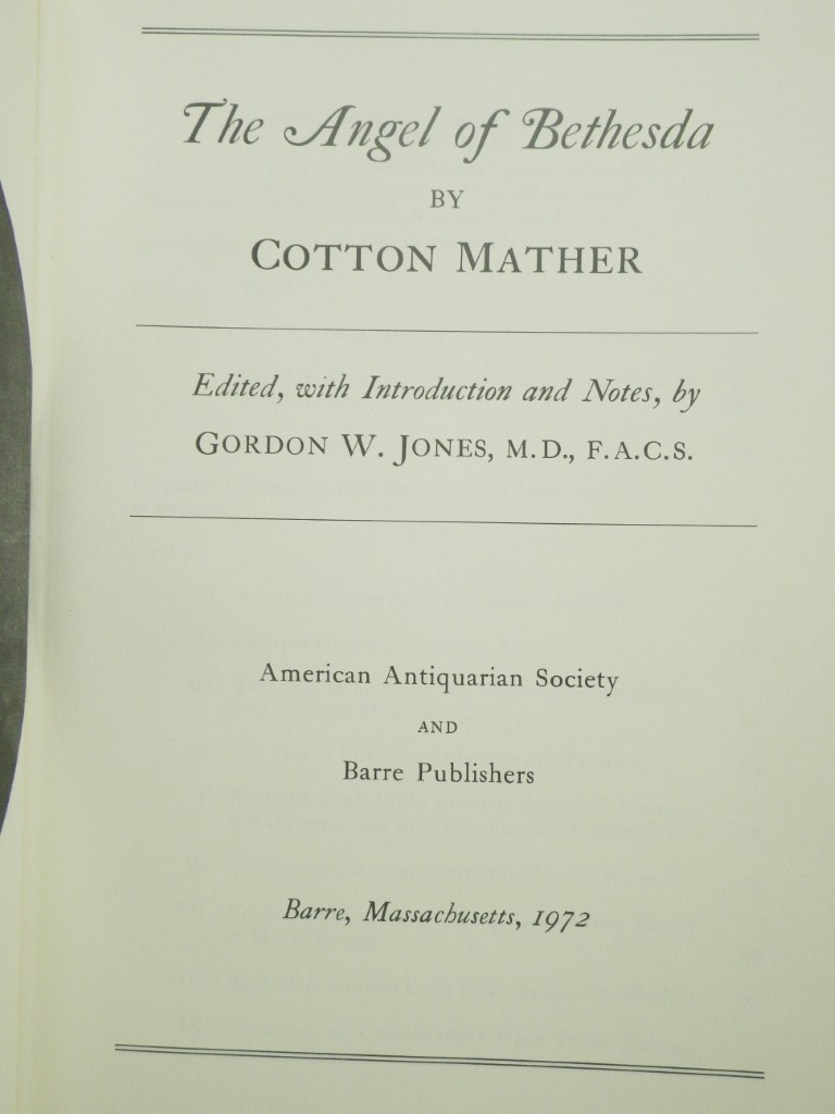 Image 1 of The Angel of Bethesda: An Essay upon the Common Maladies of Mankind