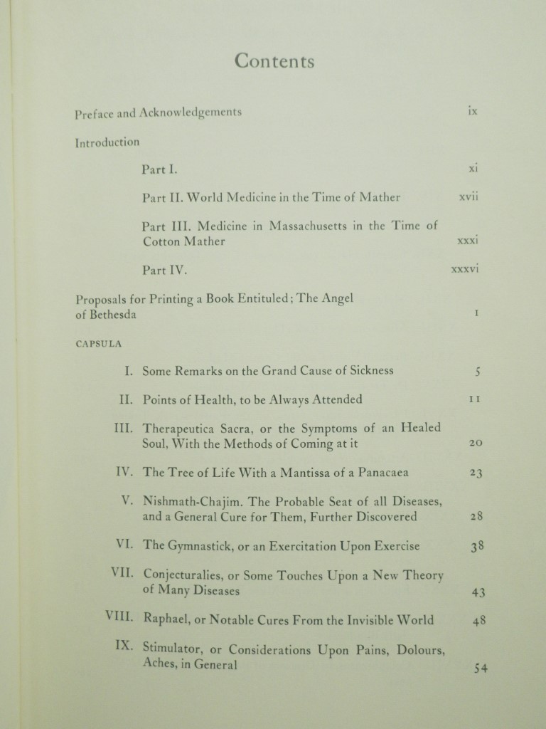Image 2 of The Angel of Bethesda: An Essay upon the Common Maladies of Mankind