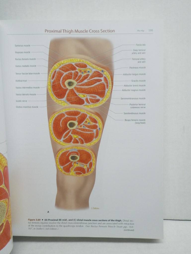 Image 3 of Stoller's Atlas of Orthopaedics and Sports Medicine
