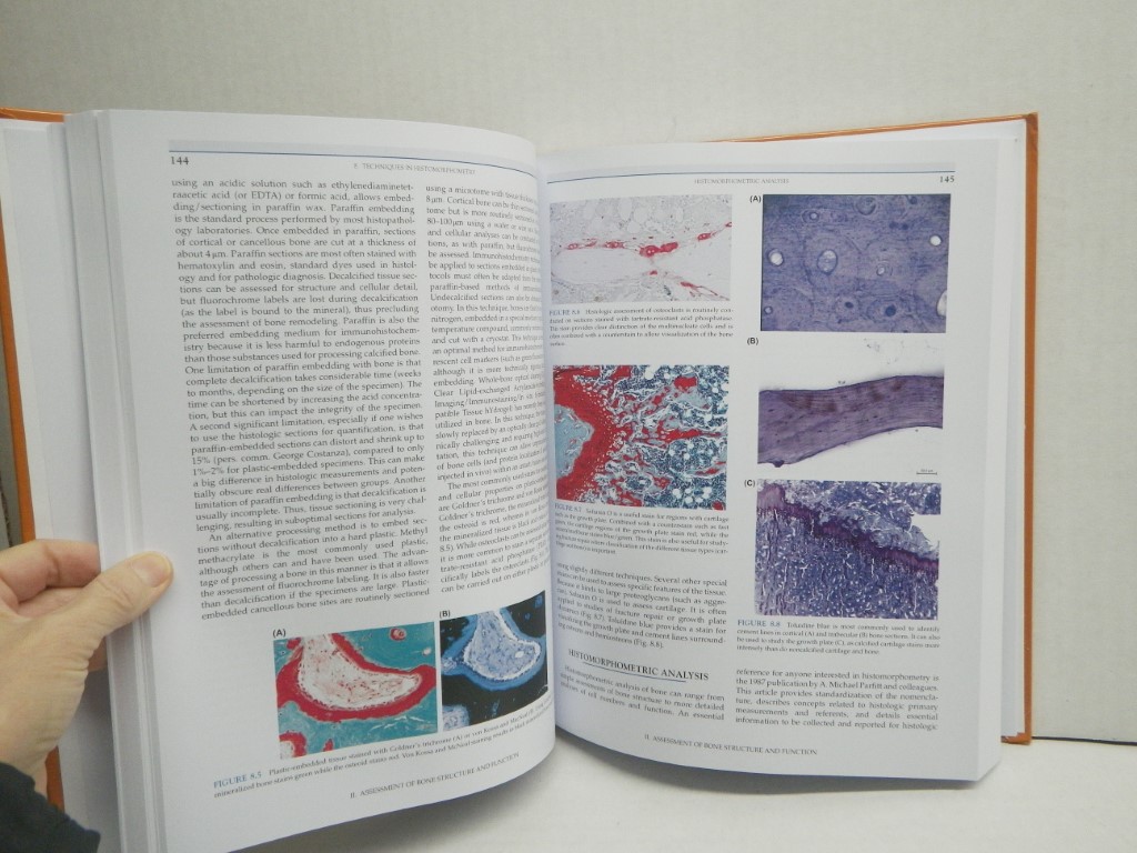 Image 3 of Basic and Applied Bone Biology