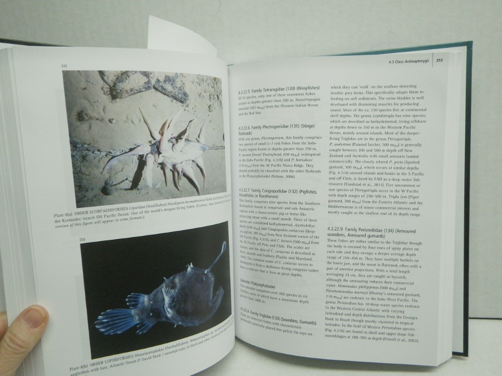 Image 3 of Deep-Sea Fishes: Biology, Diversity, Ecology and Fisheries