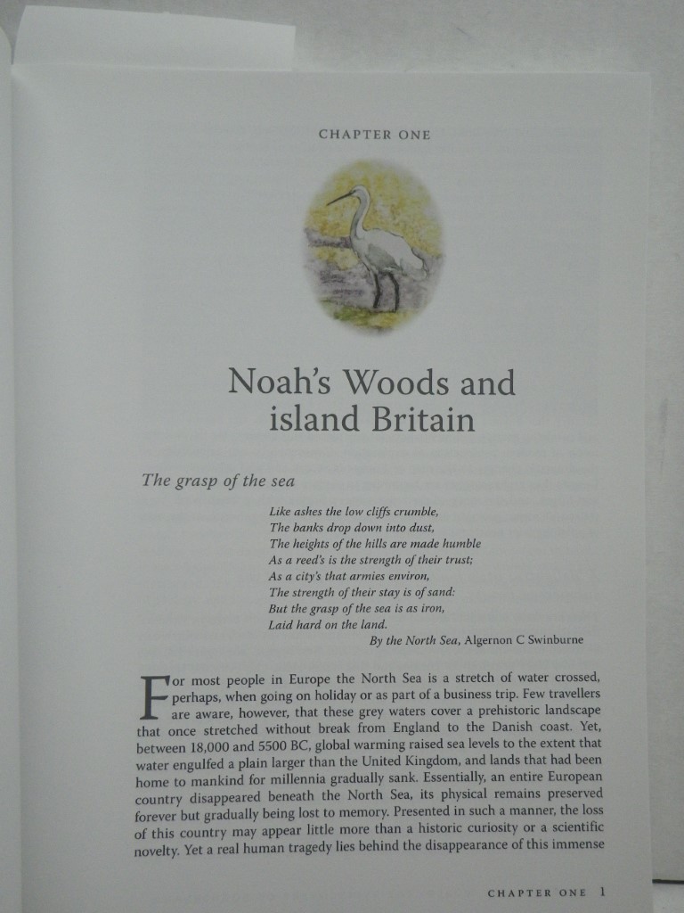 Image 4 of Europe's Lost World, the Rediscovery of Doggerland (CBA Research Reports) by Gaf