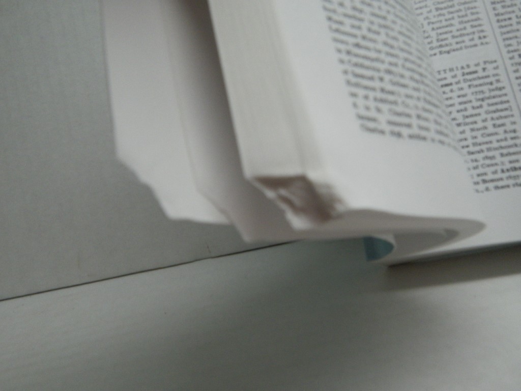 Image 4 of American Ancestry Giving the name and Descent...: Volumes X-XII in one reprinted