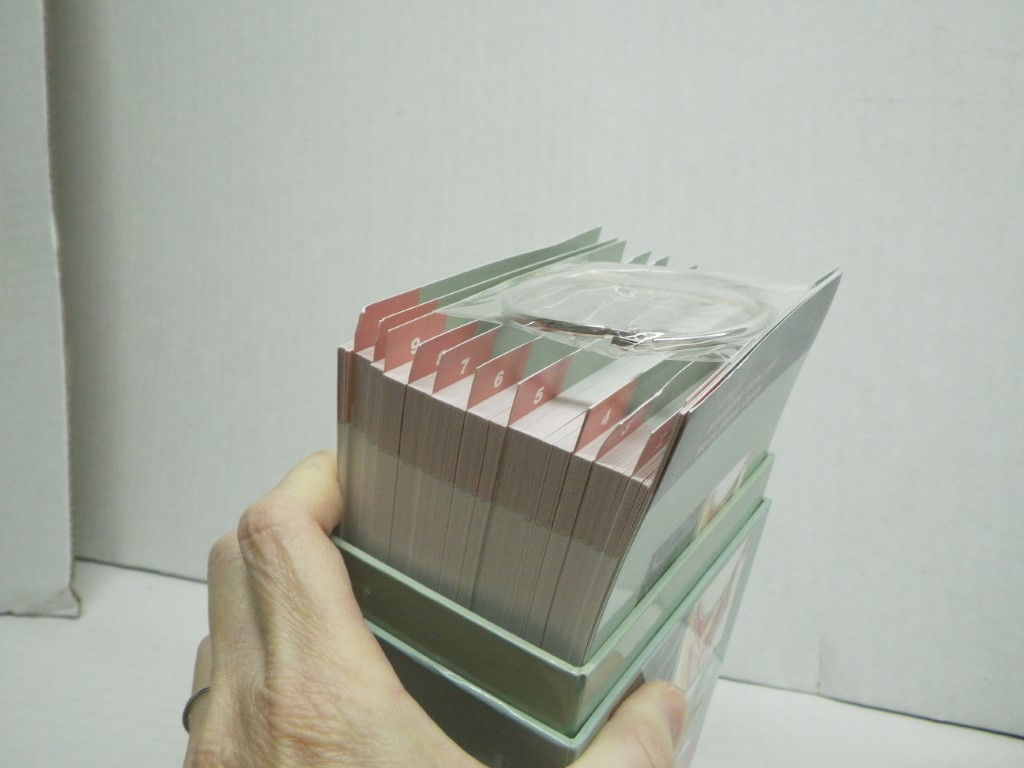 Image 1 of Netter's Advanced Head & Neck Flash Cards (Netter Basic Science)