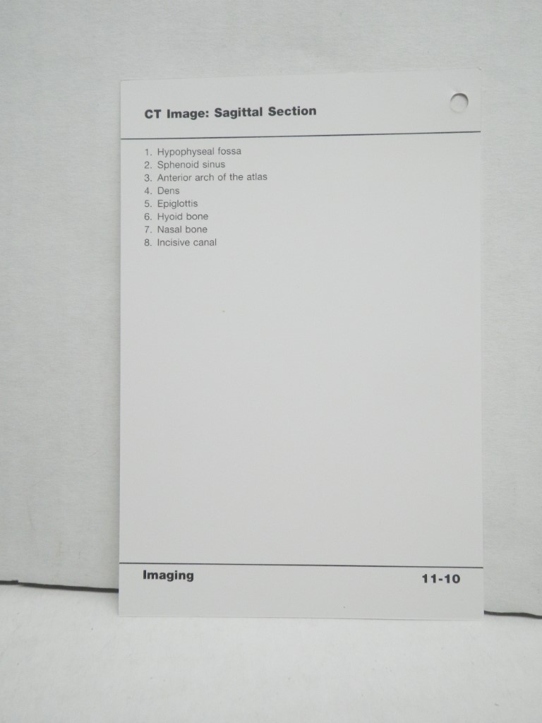 Image 3 of Netter's Advanced Head & Neck Flash Cards (Netter Basic Science)